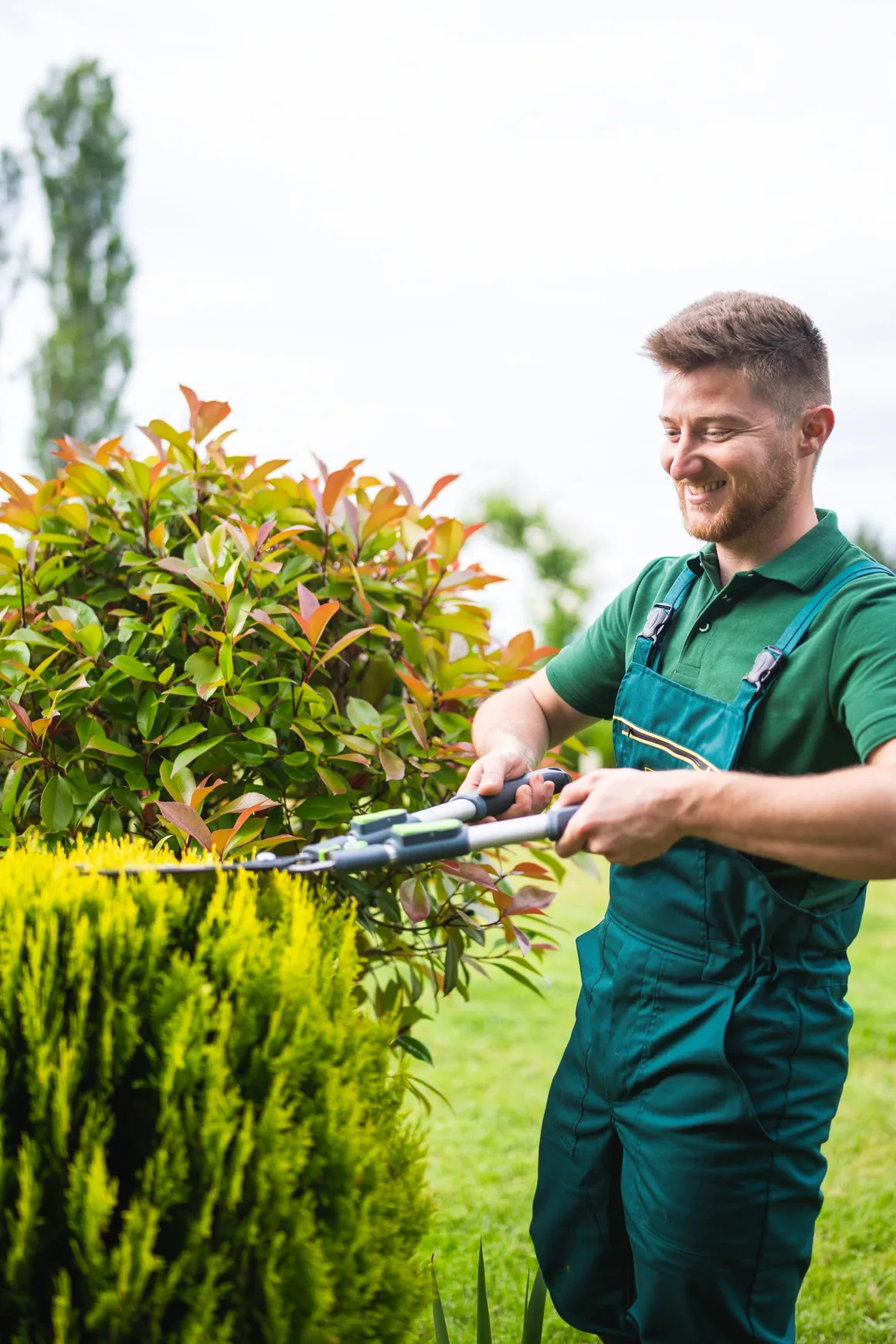 Professional garden maintenance in Western Australia - Green Shoots Gardening team maintaining residential garden in Baldivis, Rockingham area